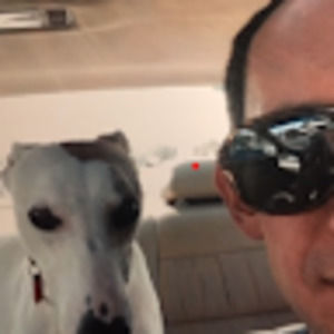 Meet your Posher, Grayson